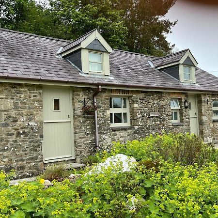 Crug Yr Eryr Isaf Villa Llandysul Exterior photo